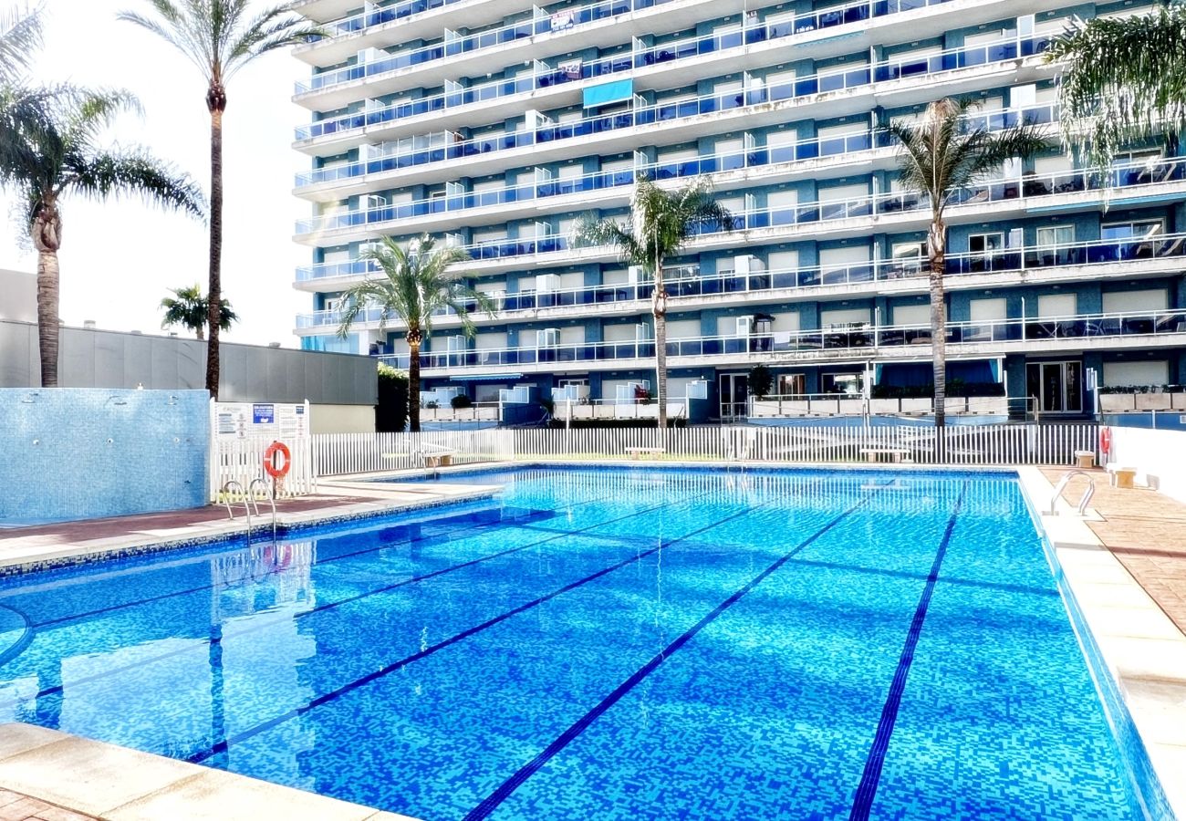 Apartamento en Gandia - ATHENEA 1ª - 5º - B.  /.  PLAYA DE GANDIA
