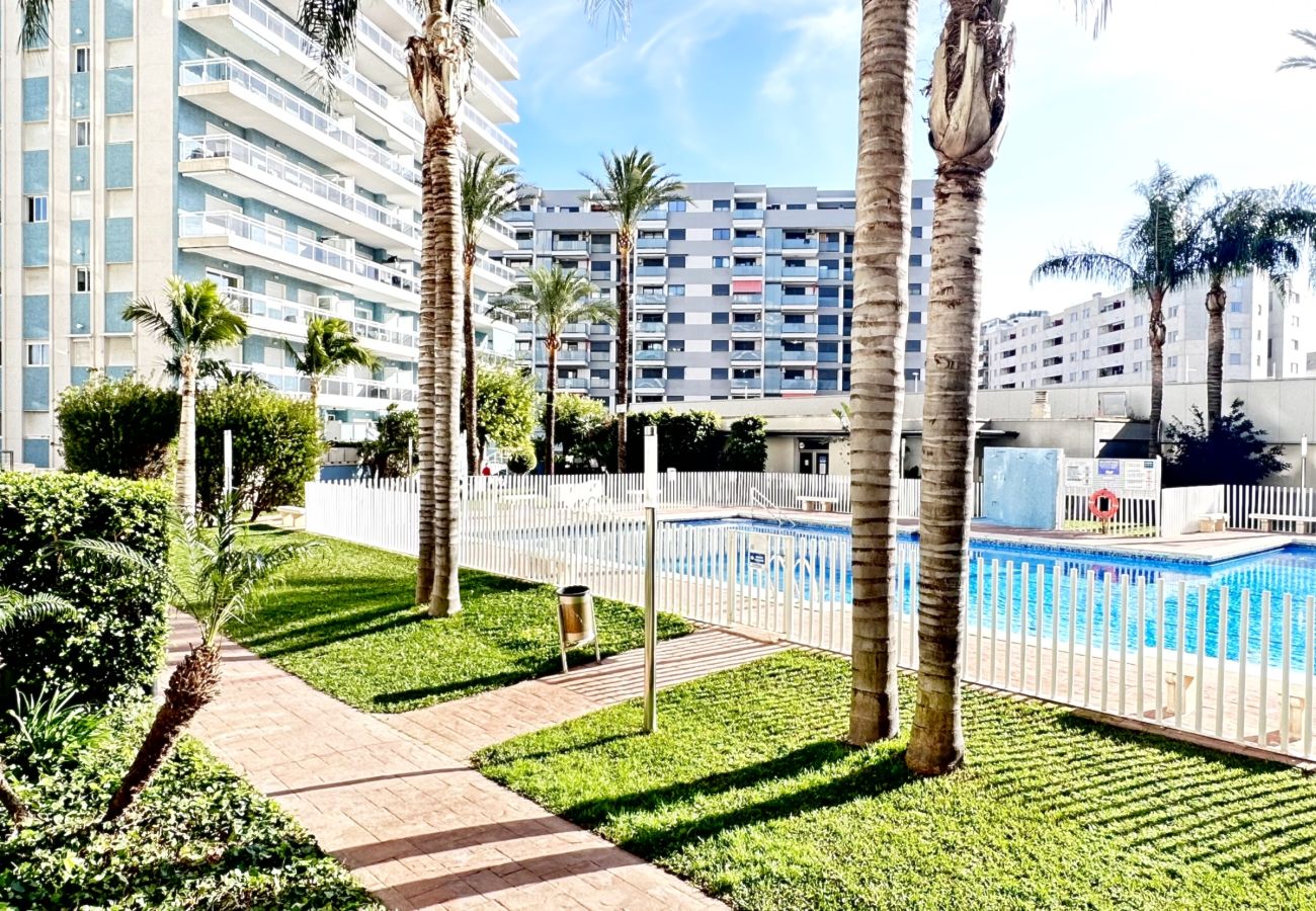 Apartamento en Gandia - ATHENEA 1ª - 5º - B.  /.  PLAYA DE GANDIA