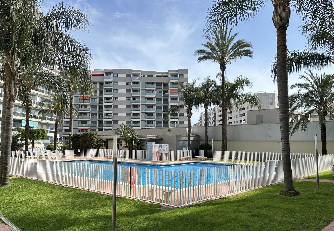 Apartamento en Gandia - ATHENEA 1ª - 5º - B.  /.  PLAYA DE GANDIA