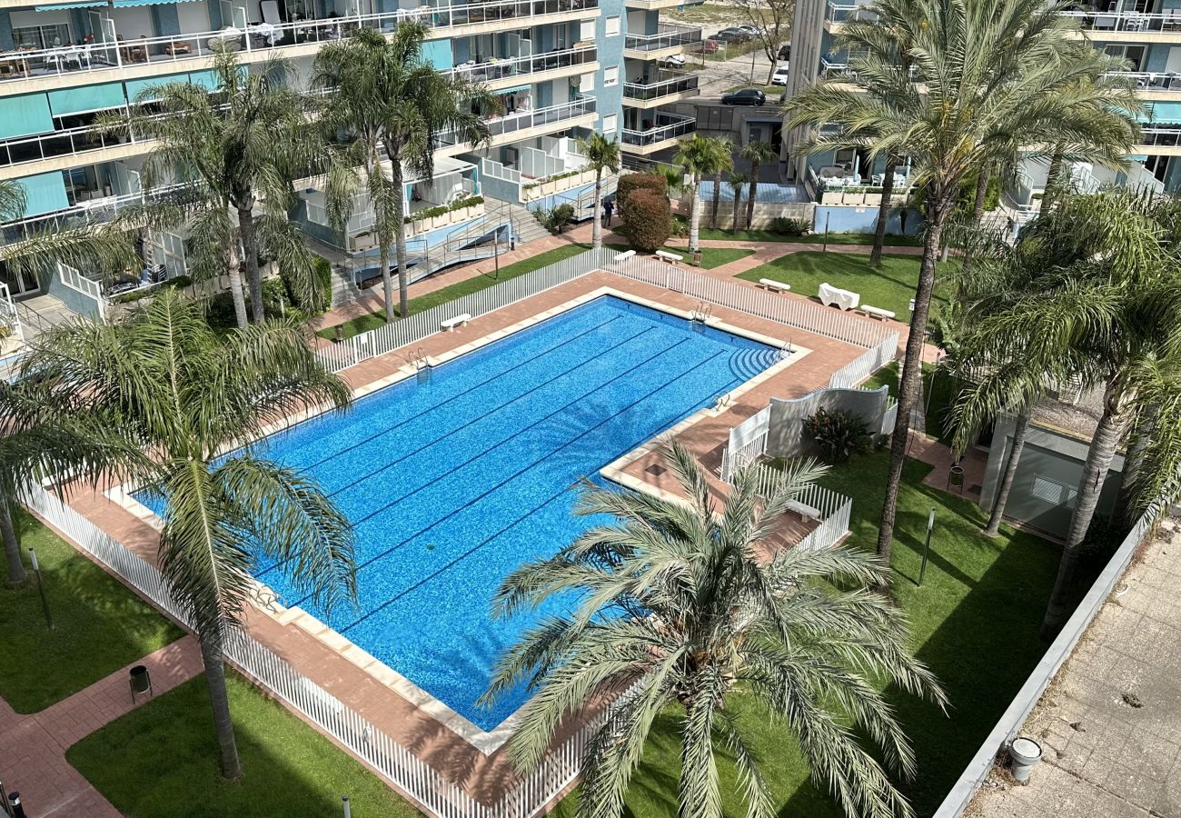 Apartamento en Gandia - ATHENEA 1ª - 5º - B.  /.  PLAYA DE GANDIA