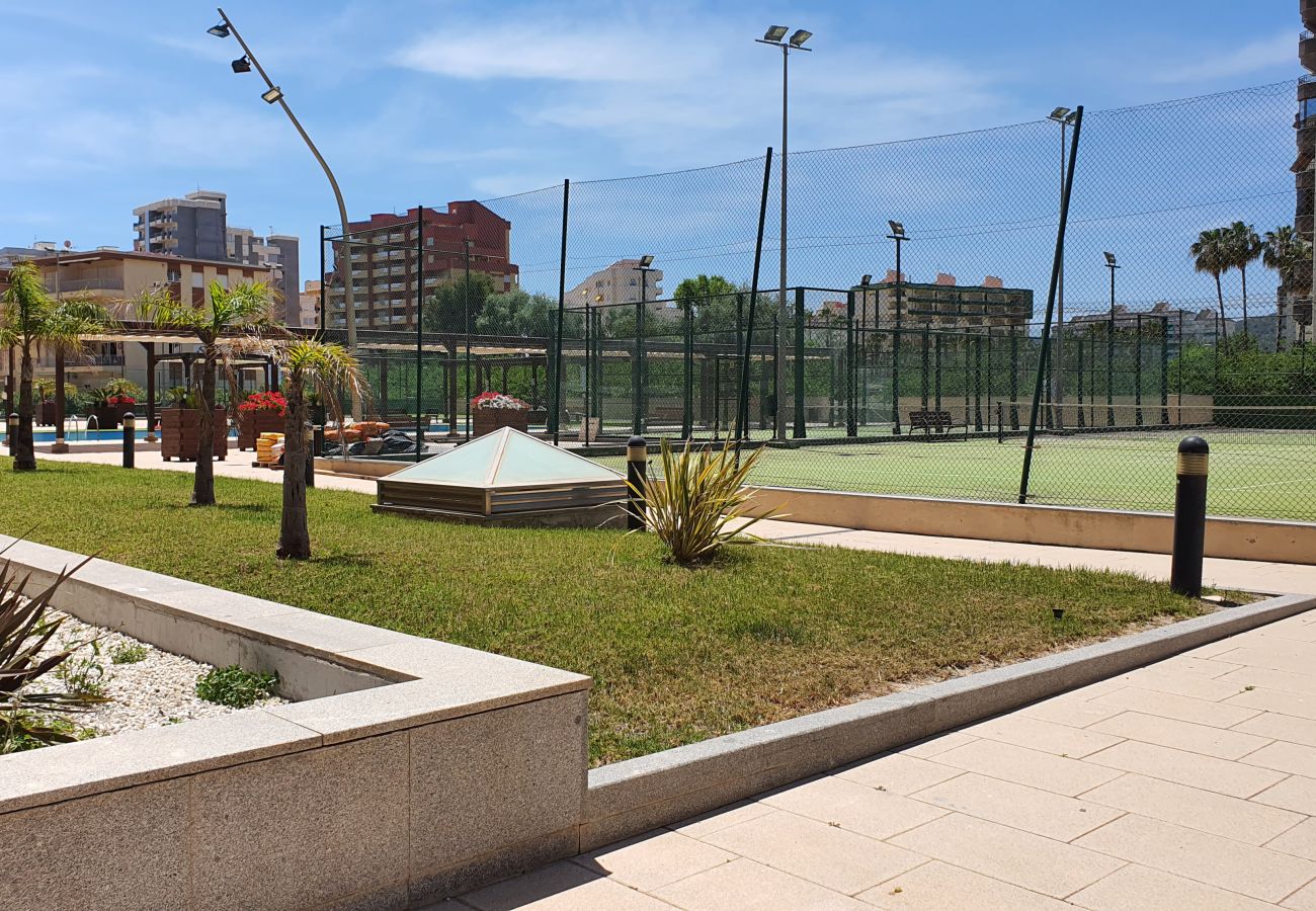 Apartamento en Gandia - BERMUDAS 1ª - 2º - B.   /.   PLAYA DE GANDIA