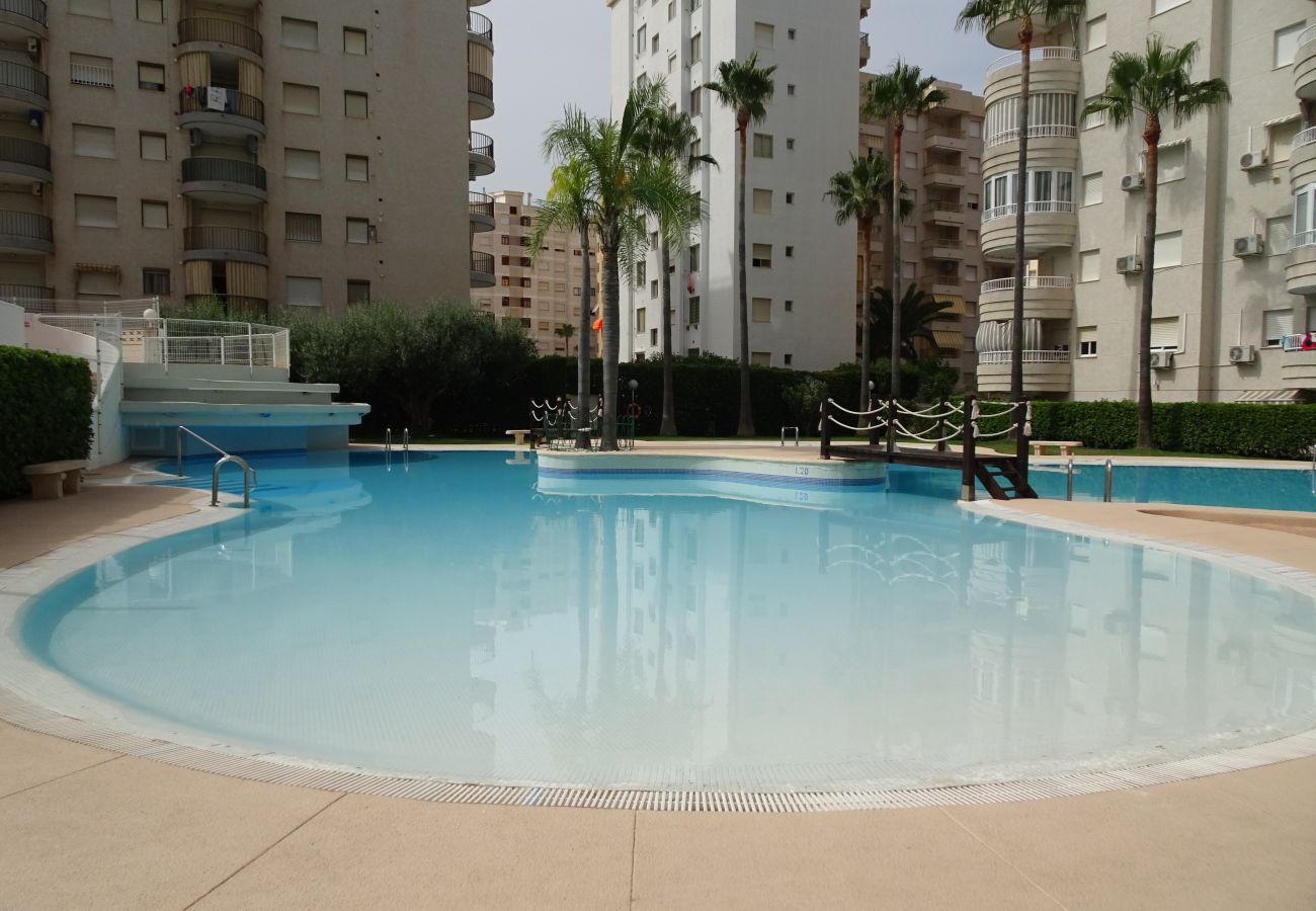 Apartamento en Gandia - TROPICANA PARK 18 - 3 - 8º - 48ª.  /. PLAYA DE GANDIA