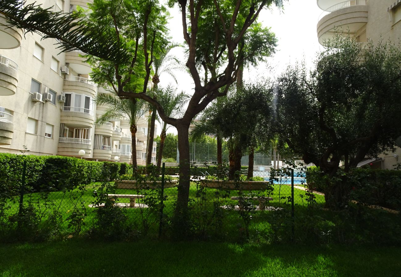 Apartamento en Gandia - TROPICANA PARK 18 - 3 - 8º - 48ª.  /. PLAYA DE GANDIA