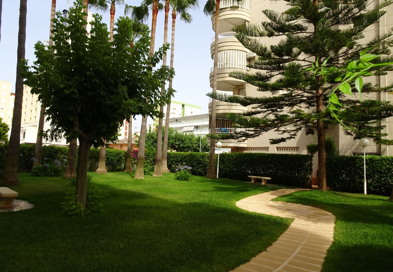 Apartamento en Gandia - TROPICANA PARK 18 - 3 - 8º - 48ª.  /. PLAYA DE GANDIA
