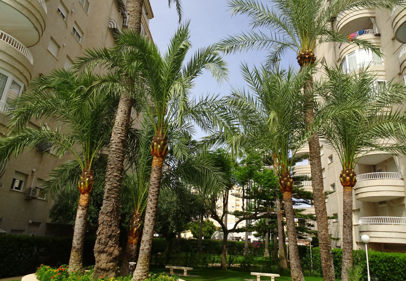Apartamento en Gandia - TROPICANA PARK 18 - 3 - 8º - 48ª.  /. PLAYA DE GANDIA