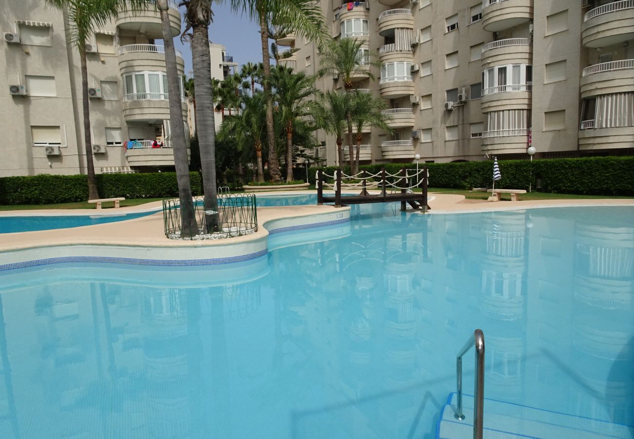 Apartamento en Gandia - TROPICANA PARK 18 - 3 - 8º - 48ª.  /. PLAYA DE GANDIA