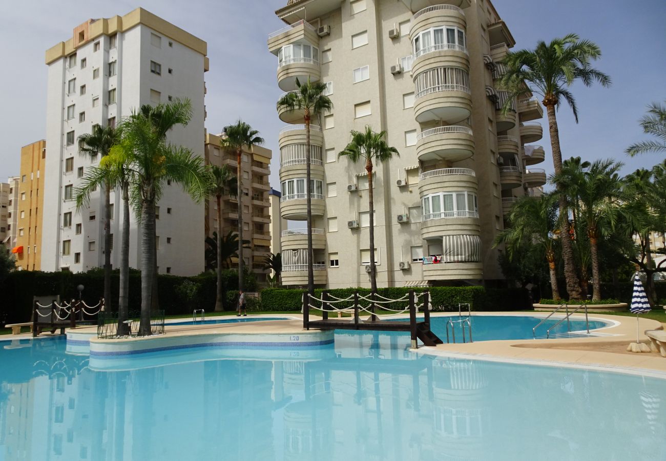 Apartamento en Gandia - TROPICANA PARK 18 - 3 - 8º - 48ª.  /. PLAYA DE GANDIA