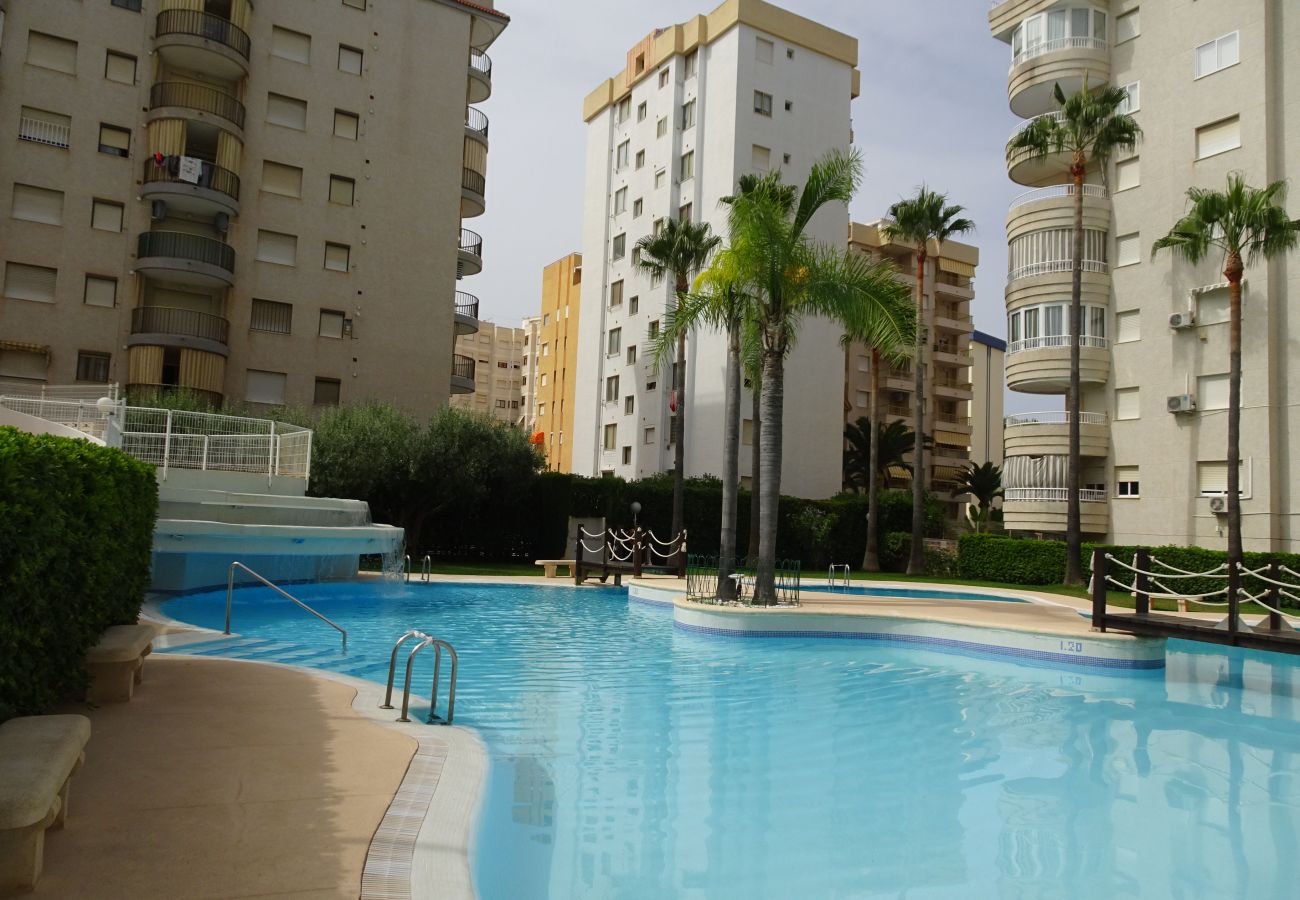Apartamento en Gandia - TROPICANA PARK 18 - 3 - 8º - 48ª.  /. PLAYA DE GANDIA