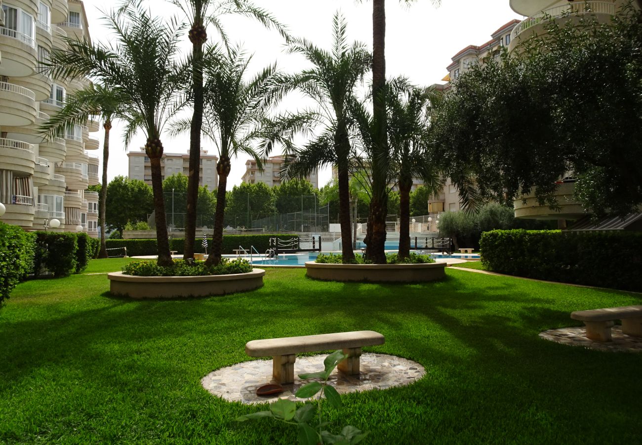 Apartamento en Gandia - TROPICANA PARK 18 - 3 - 8º - 48ª.  /. PLAYA DE GANDIA