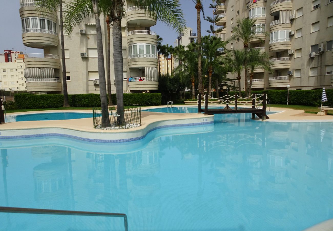 Apartamento en Gandia - TROPICANA PARK 18 - 3 - 8º - 48ª.  /. PLAYA DE GANDIA