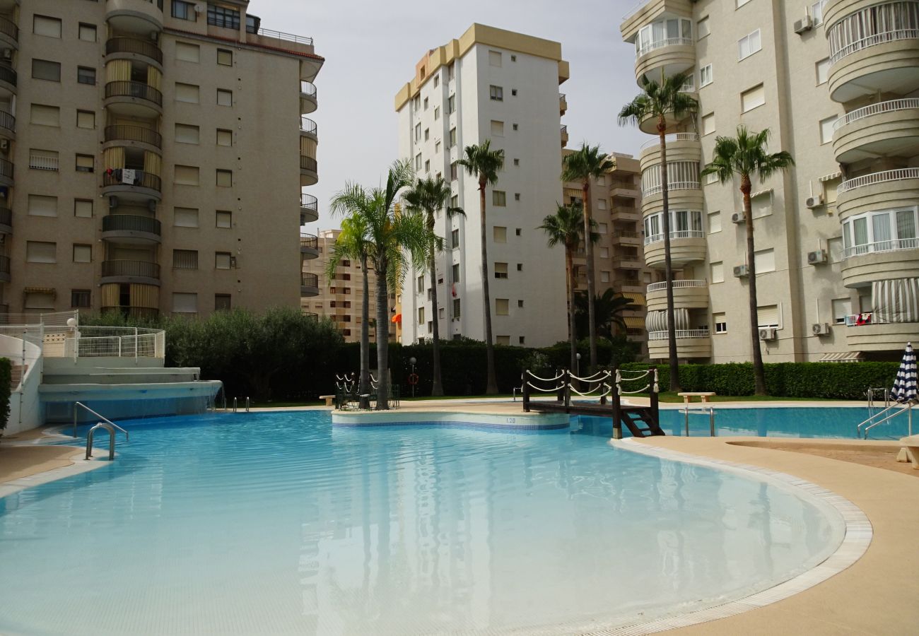 Apartamento en Gandia - TROPICANA PARK 18 - 3 - 8º - 48ª.  /. PLAYA DE GANDIA