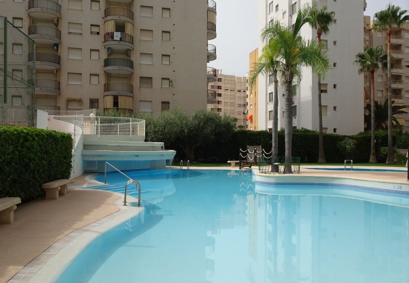 Apartamento en Gandia - TROPICANA PARK 18 - 3 - 8º - 48ª.  /. PLAYA DE GANDIA