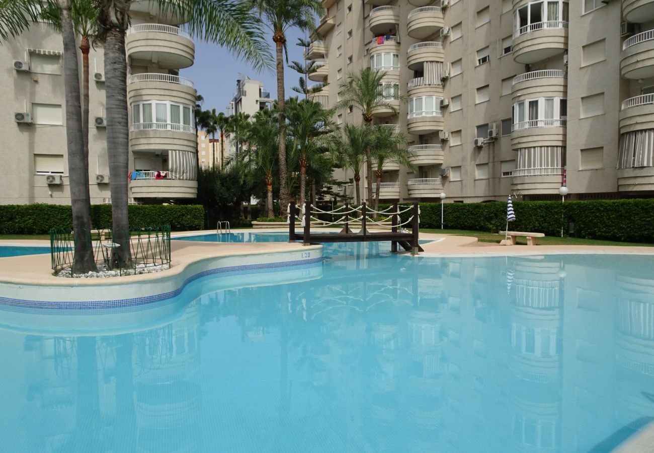 Apartamento en Gandia - TROPICANA PARK 18 - 3 - 8º - 48ª.  /. PLAYA DE GANDIA