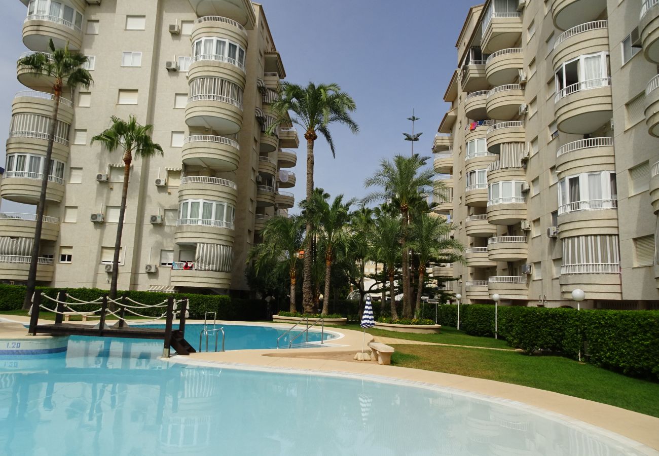 Apartamento en Gandia - TROPICANA PARK 18 - 3 - 8º - 48ª.  /. PLAYA DE GANDIA