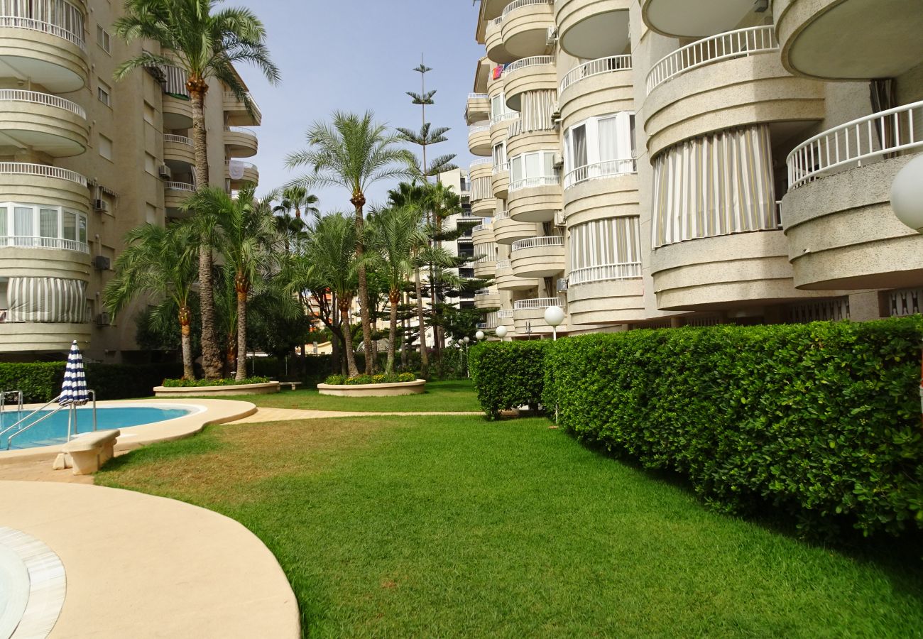 Apartamento en Gandia - TROPICANA PARK 18 - 3 - 8º - 48ª.  /. PLAYA DE GANDIA