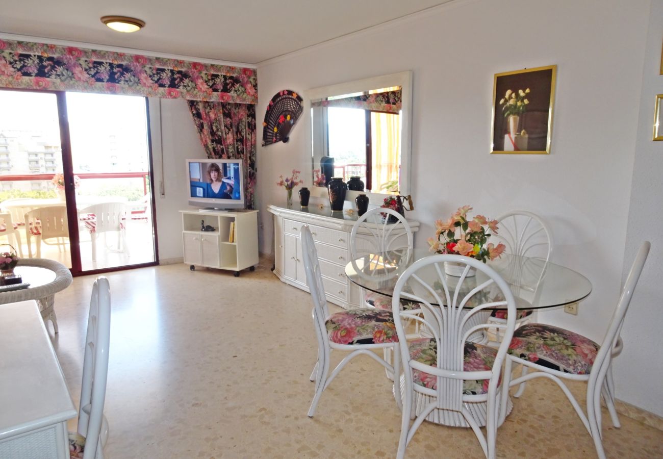 Apartamento en Gandia - SALINAS IV - 1ª - 7º - B    /    PLAYA DE GANDIA