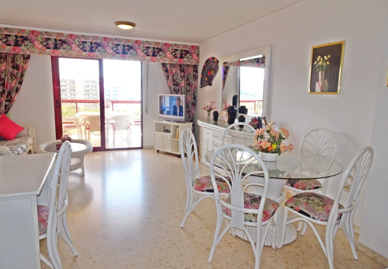 Apartamento en Gandia - SALINAS IV - 1ª - 7º - B    /    PLAYA DE GANDIA