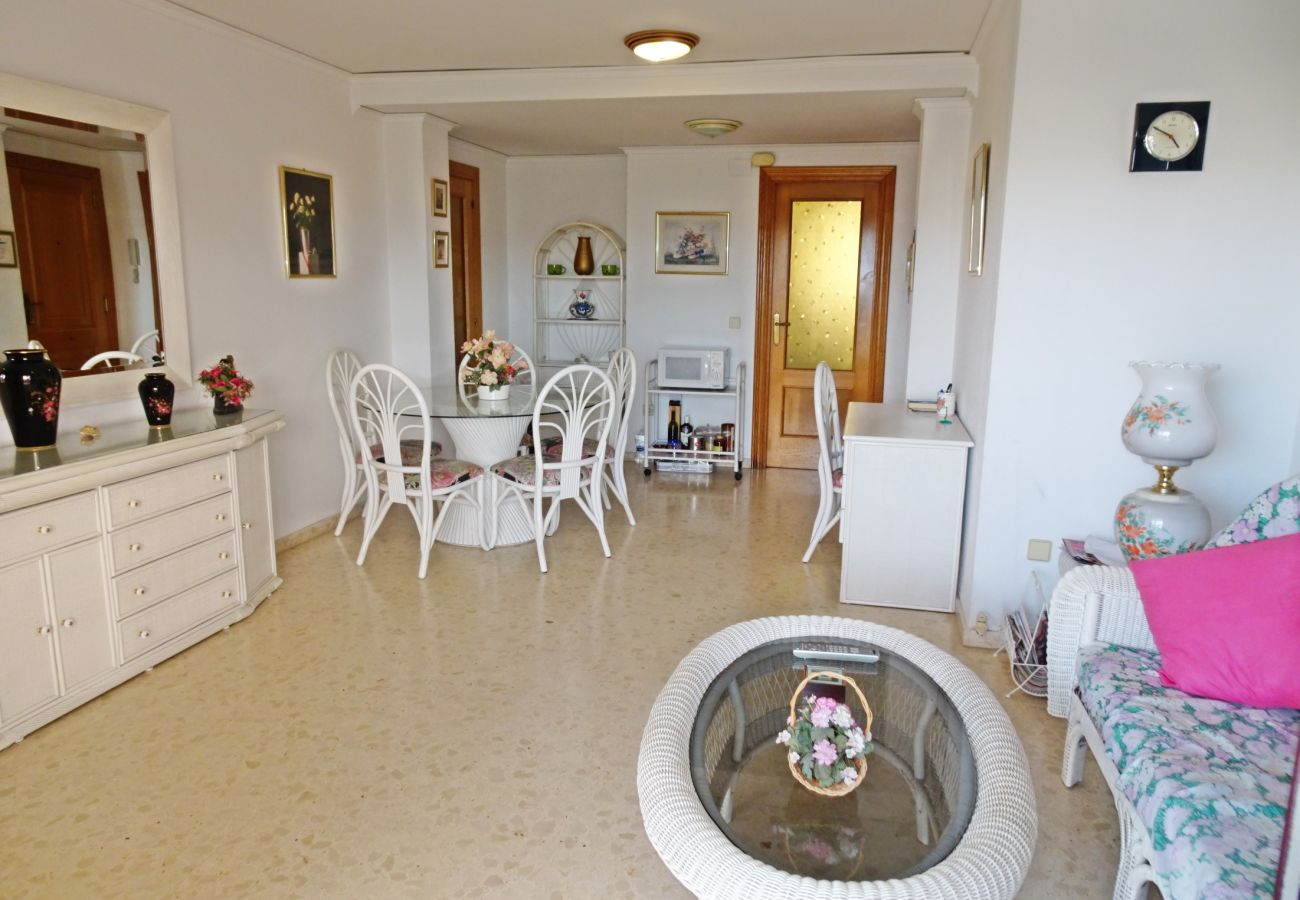 Apartamento en Gandia - SALINAS IV - 1ª - 7º - B    /    PLAYA DE GANDIA