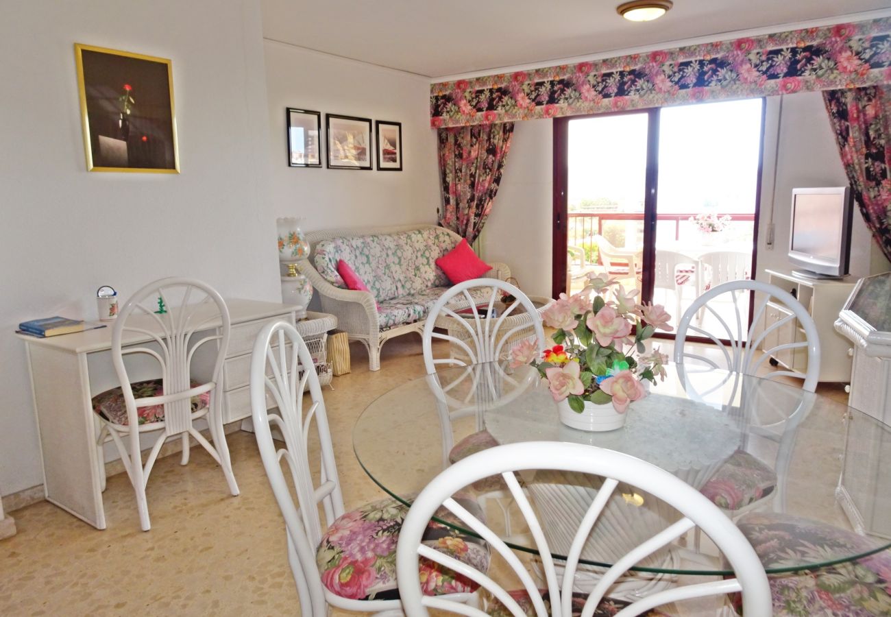 Apartamento en Gandia - SALINAS IV - 1ª - 7º - B    /    PLAYA DE GANDIA
