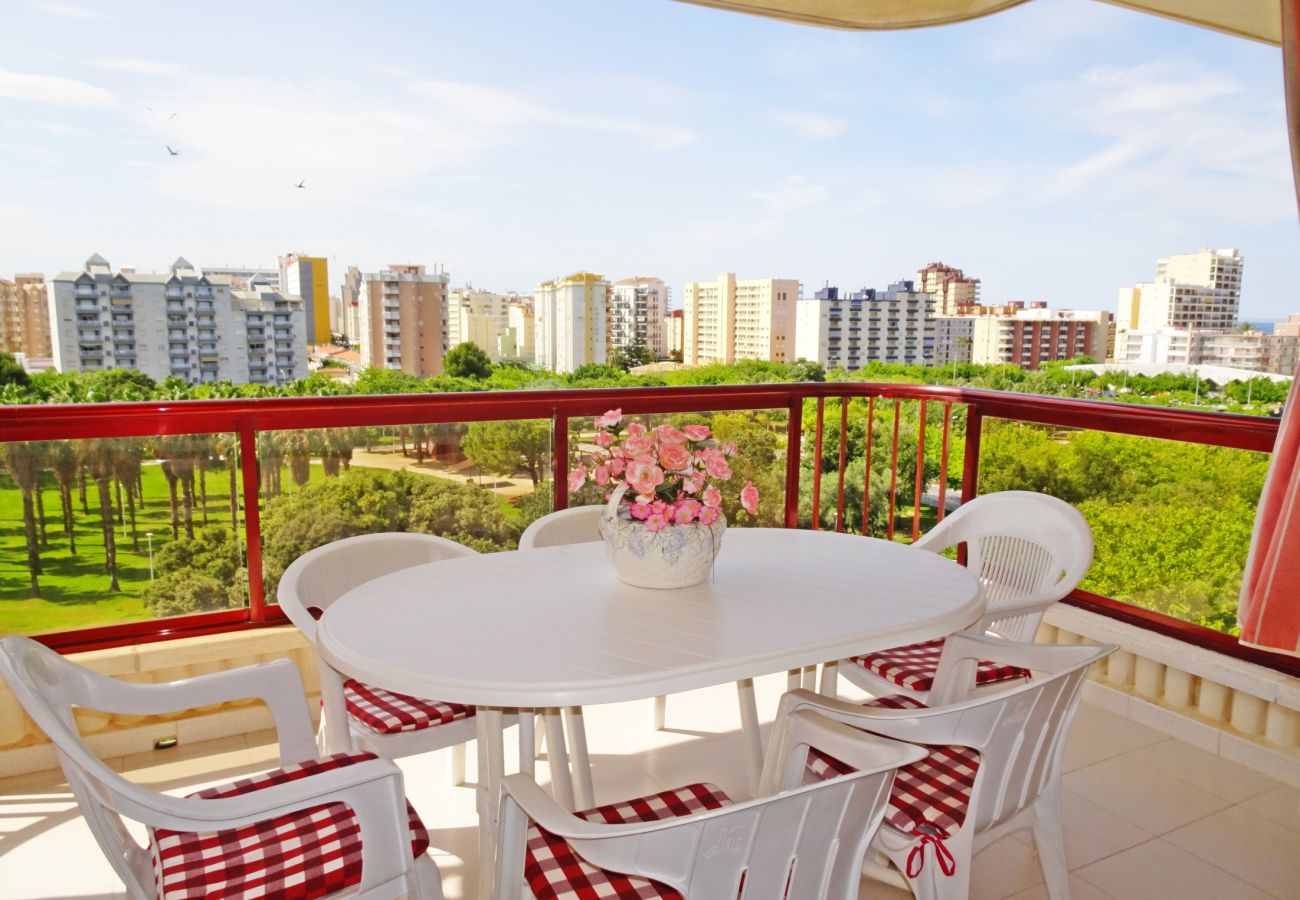 Apartamento en Gandia - SALINAS IV - 1ª - 7º - B    /    PLAYA DE GANDIA