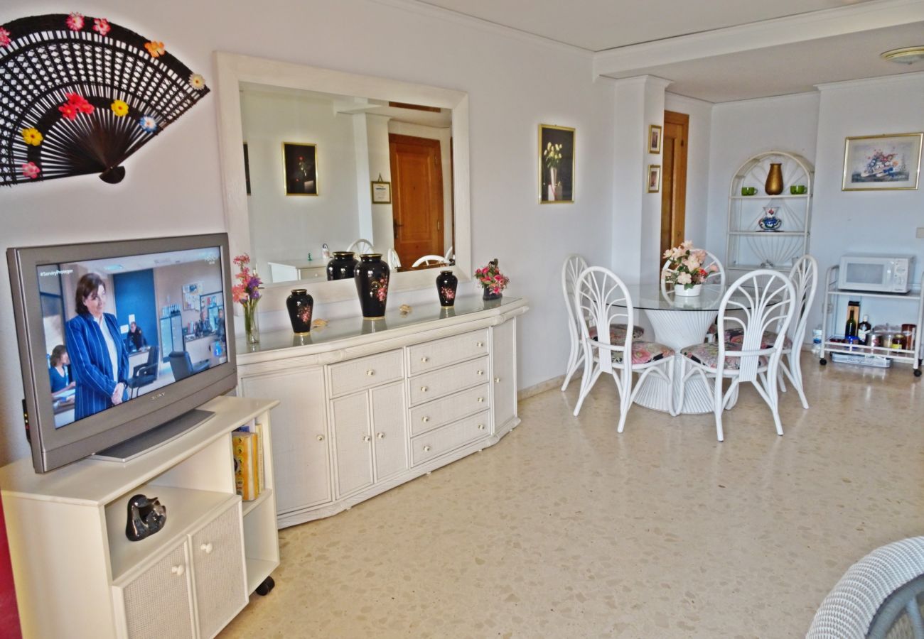 Apartamento en Gandia - SALINAS IV - 1ª - 7º - B    /    PLAYA DE GANDIA