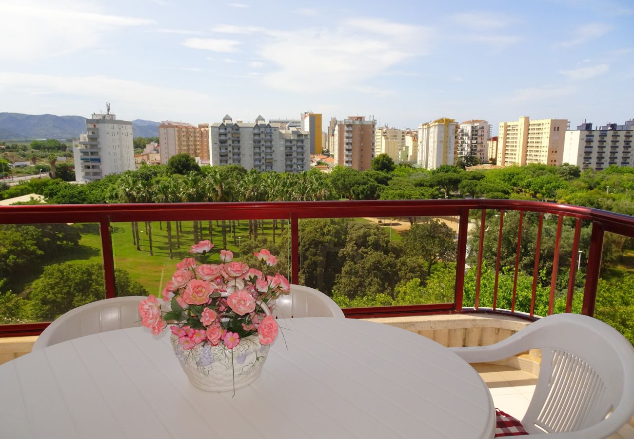Apartamento en Gandia - SALINAS IV - 1ª - 7º - B    /    PLAYA DE GANDIA