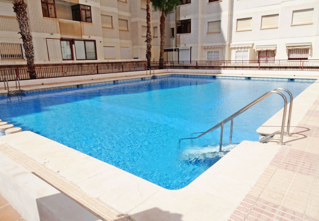 Apartamento en Gandia - SALINAS IV - 1ª - 7º - B    /    PLAYA DE GANDIA