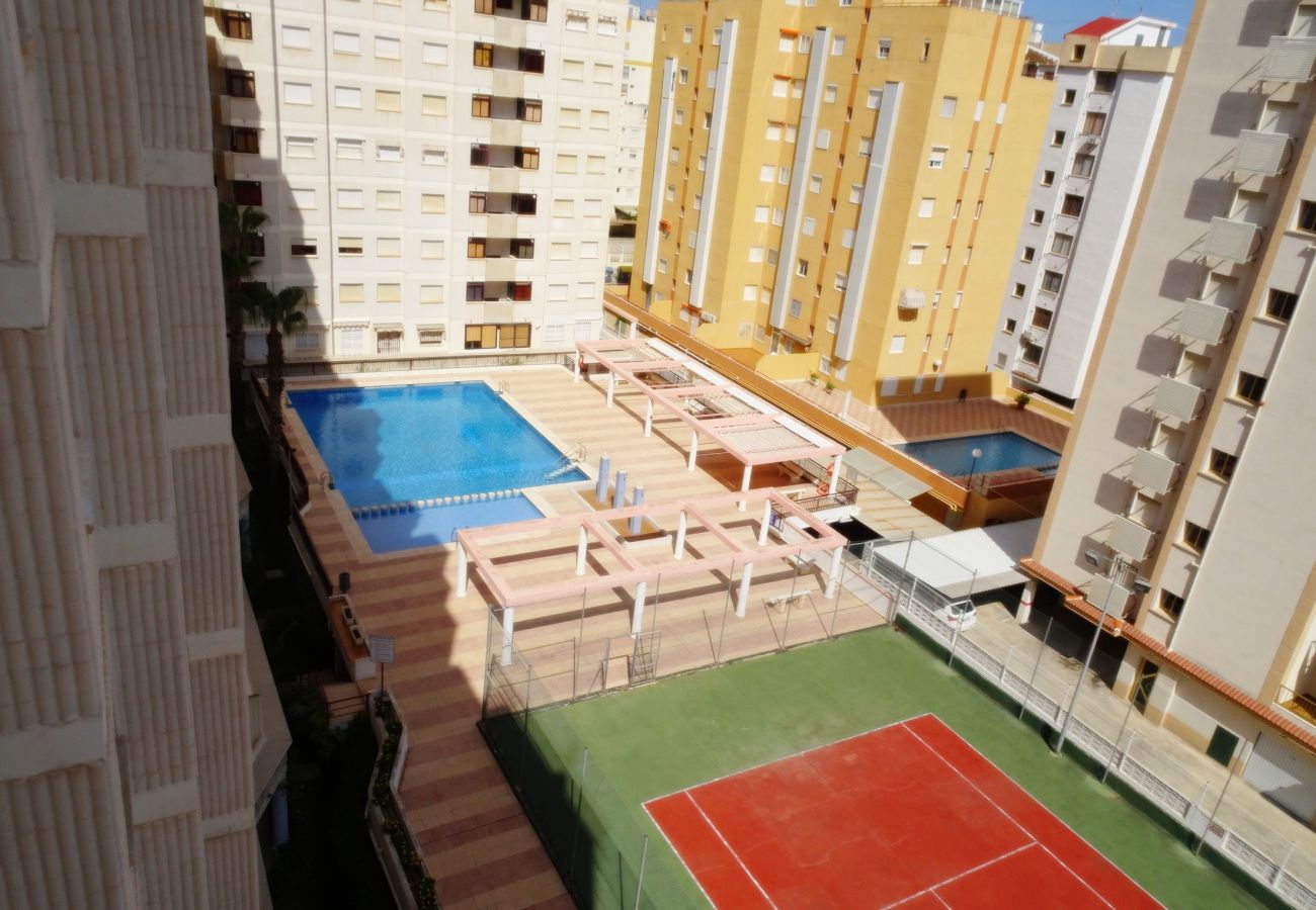 Apartamento en Gandia - SALINAS IV - 1ª - 7º - B    /    PLAYA DE GANDIA