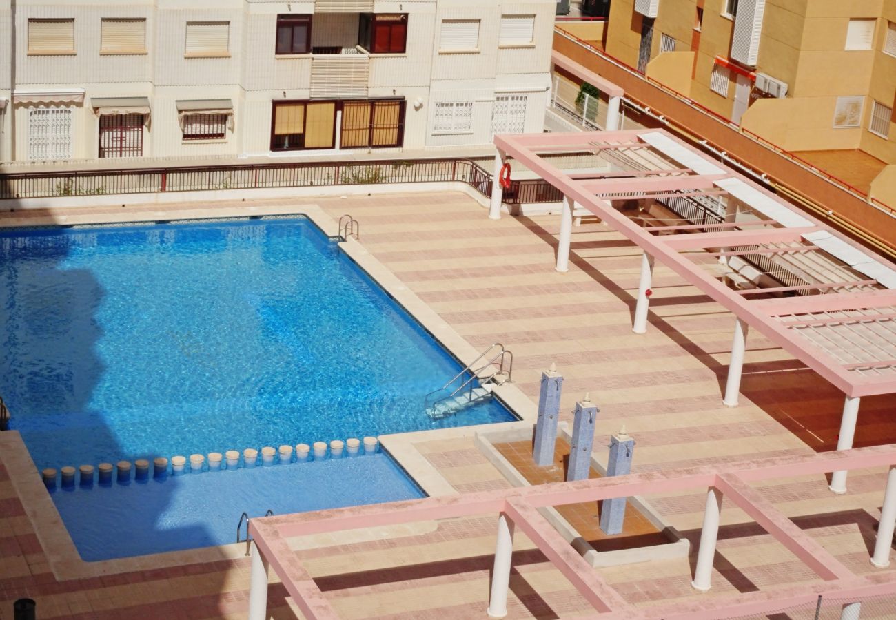 Apartamento en Gandia - SALINAS IV - 1ª - 7º - B    /    PLAYA DE GANDIA