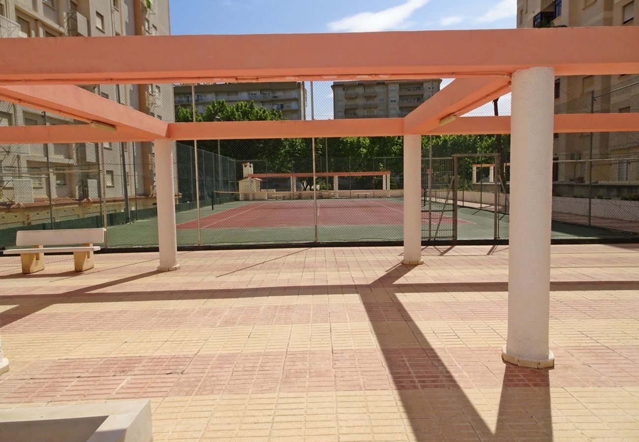 Apartamento en Gandia - SALINAS IV - 1ª - 7º - B    /    PLAYA DE GANDIA