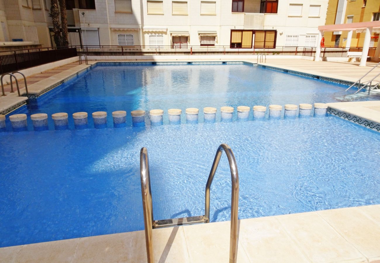 Apartamento en Gandia - SALINAS IV - 1ª - 7º - B    /    PLAYA DE GANDIA