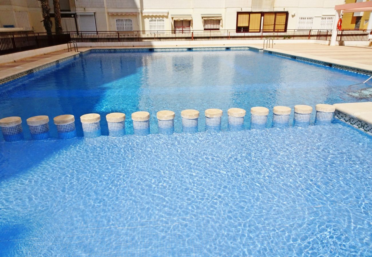 Apartamento en Gandia - SALINAS IV - 1ª - 7º - B    /    PLAYA DE GANDIA