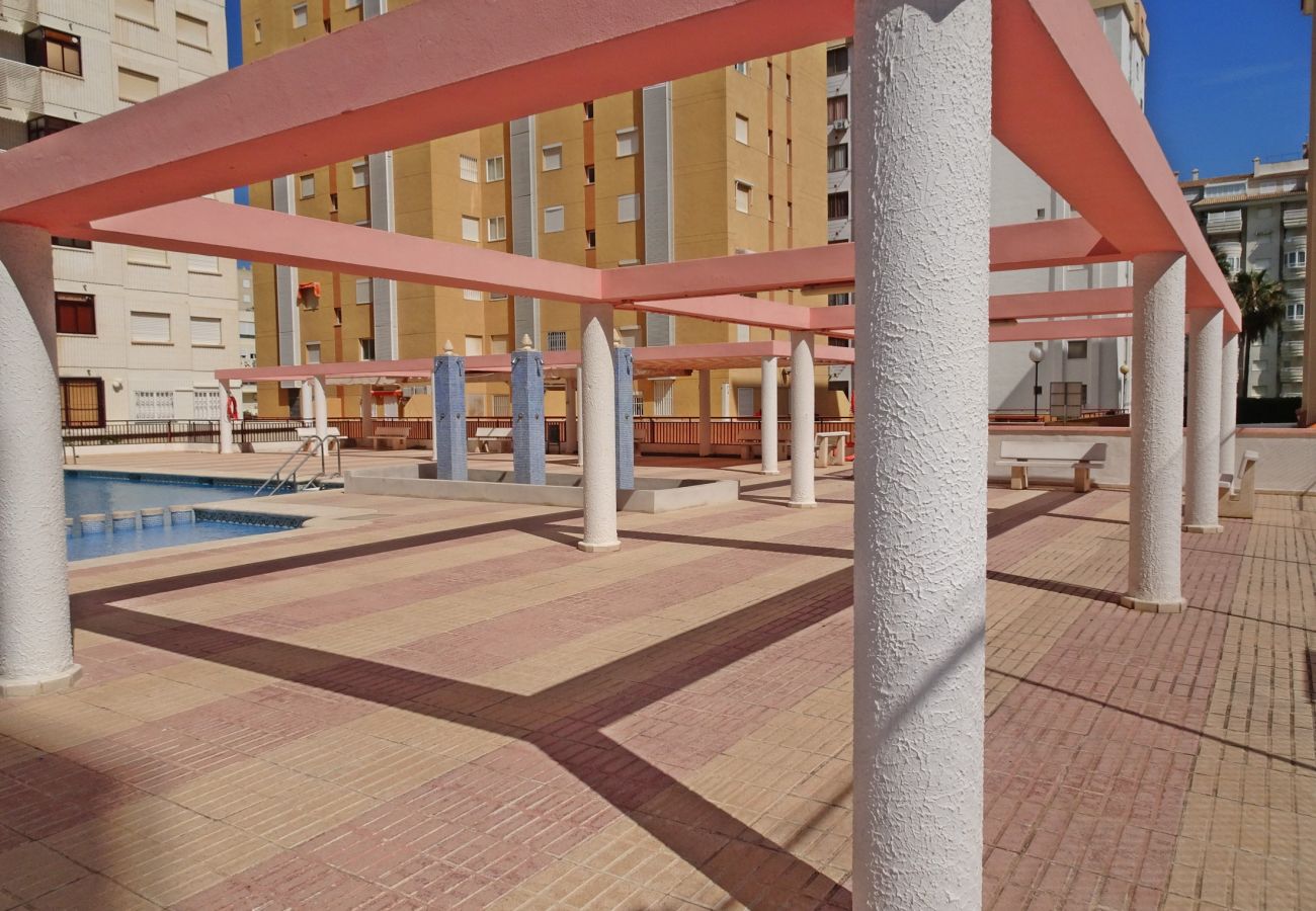 Apartamento en Gandia - SALINAS IV - 1ª - 7º - B    /    PLAYA DE GANDIA