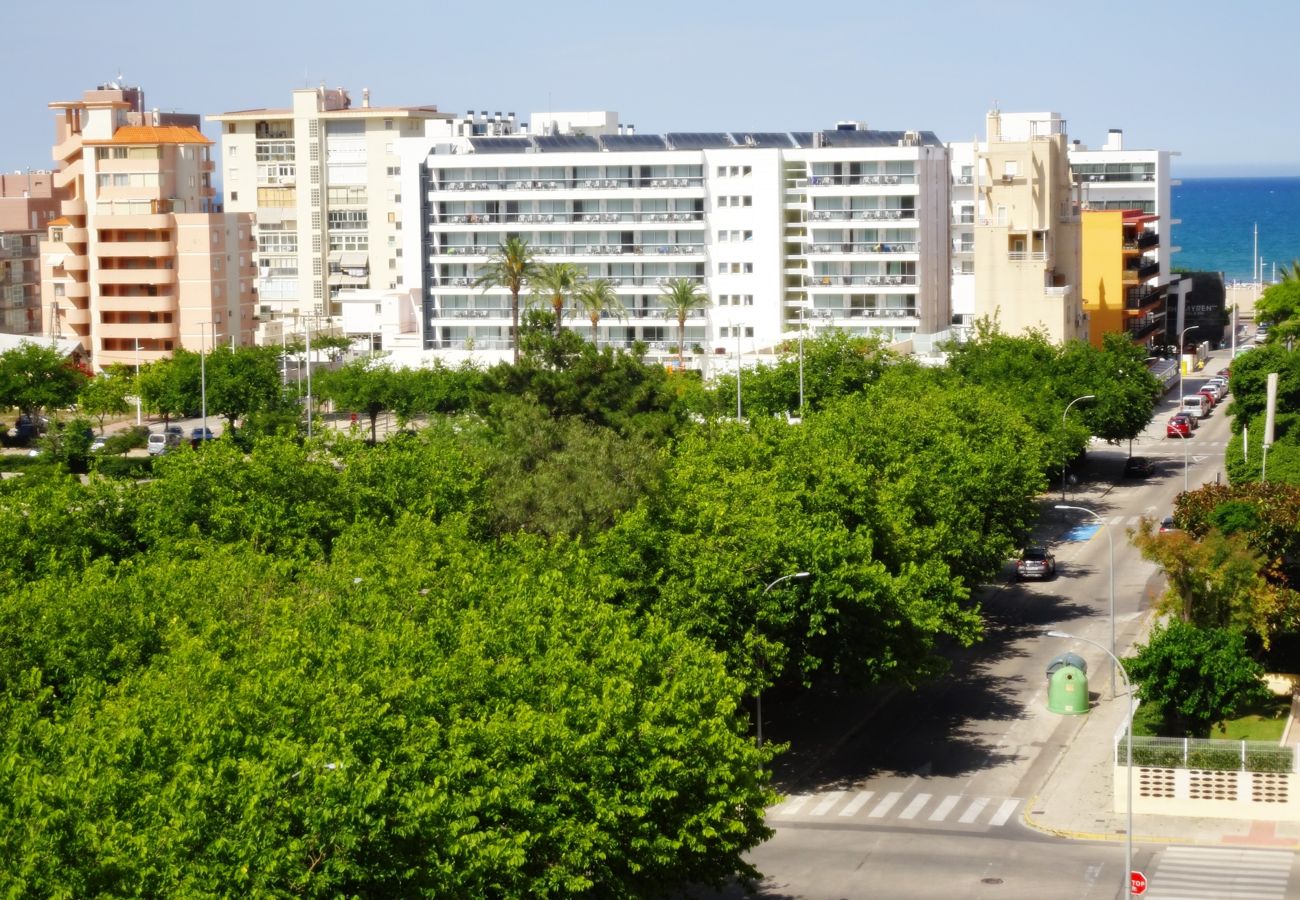 Apartamento en Gandia - SALINAS IV - 1ª - 7º - B    /    PLAYA DE GANDIA