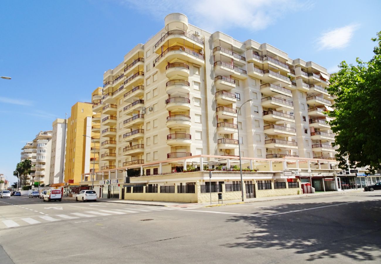 Apartamento en Gandia - SALINAS IV - 1ª - 7º - B    /    PLAYA DE GANDIA