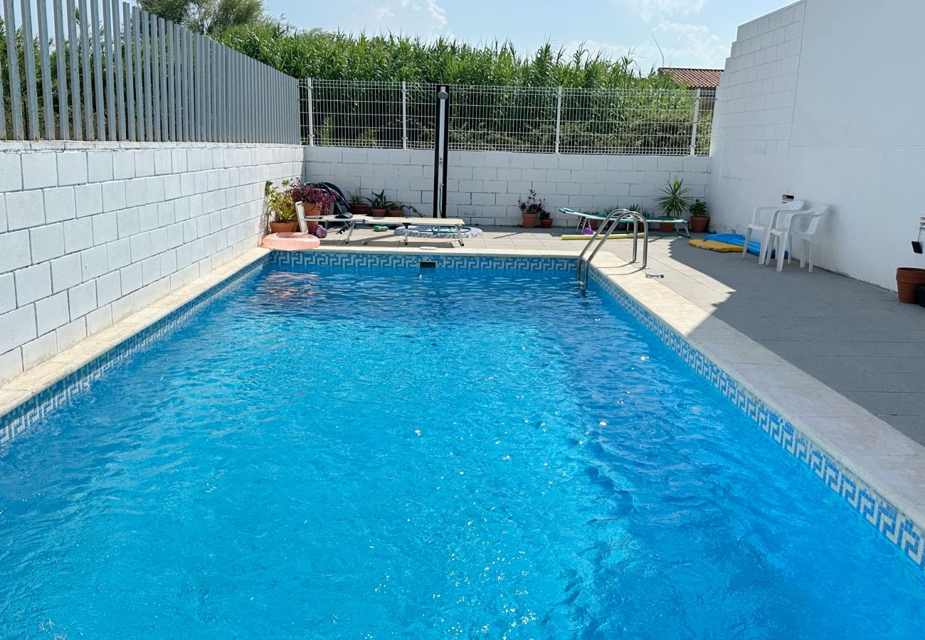 Agroturismo en Gandia - GARCETA BLANCA 13 - E    /    PLAYA DE GANDIA 
