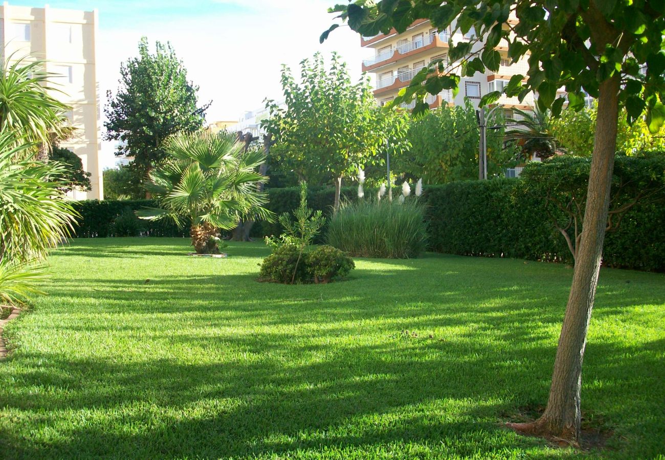 Apartamento en Gandia - DON CHIMO - 2 DORMITORIOS EN PRIMERA LINEA DE PLAYA DE GANDIA