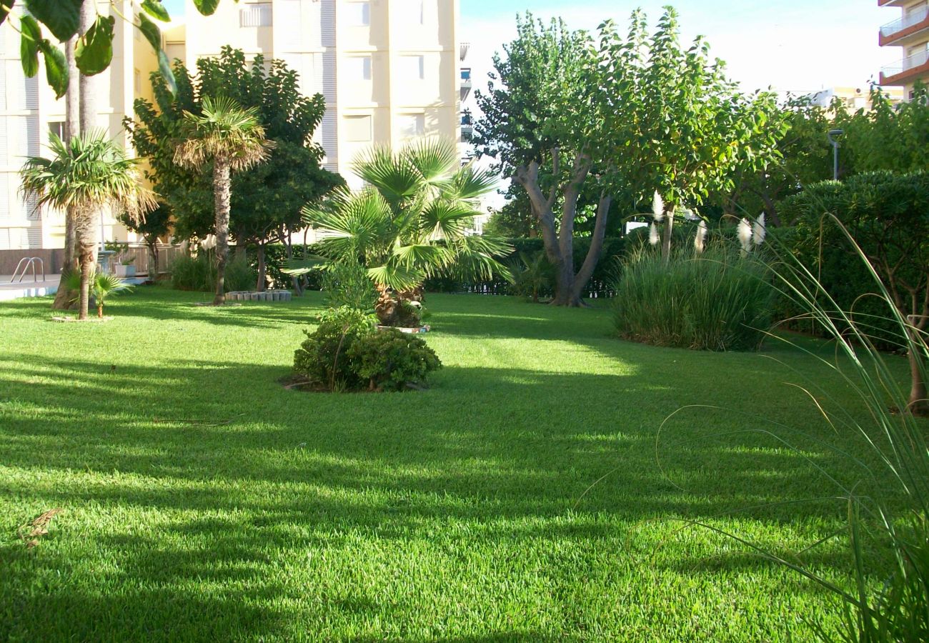 Apartamento en Gandia - DON CHIMO - 2 DORMITORIOS EN PRIMERA LINEA DE PLAYA DE GANDIA