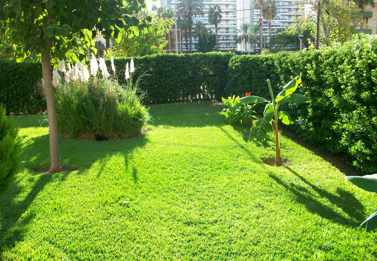 Apartamento en Gandia - DON CHIMO - 2 DORMITORIOS EN PRIMERA LINEA DE PLAYA DE GANDIA