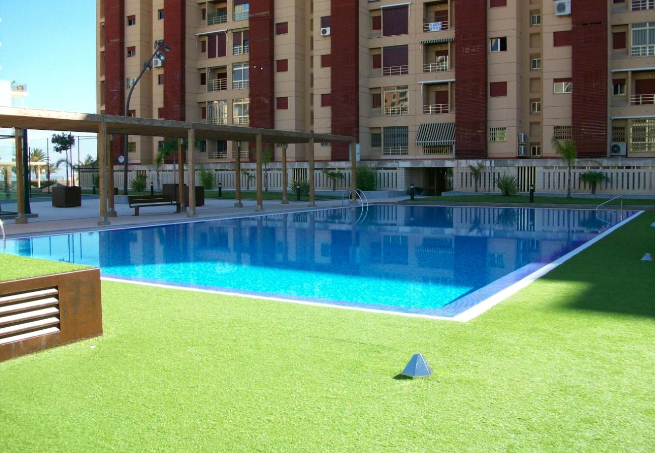 Apartamento en Gandia - APARTAMENTO DE 3 DORMITORIOS EN PRIEMRA LINEA DE PLAYA DE GANDIA