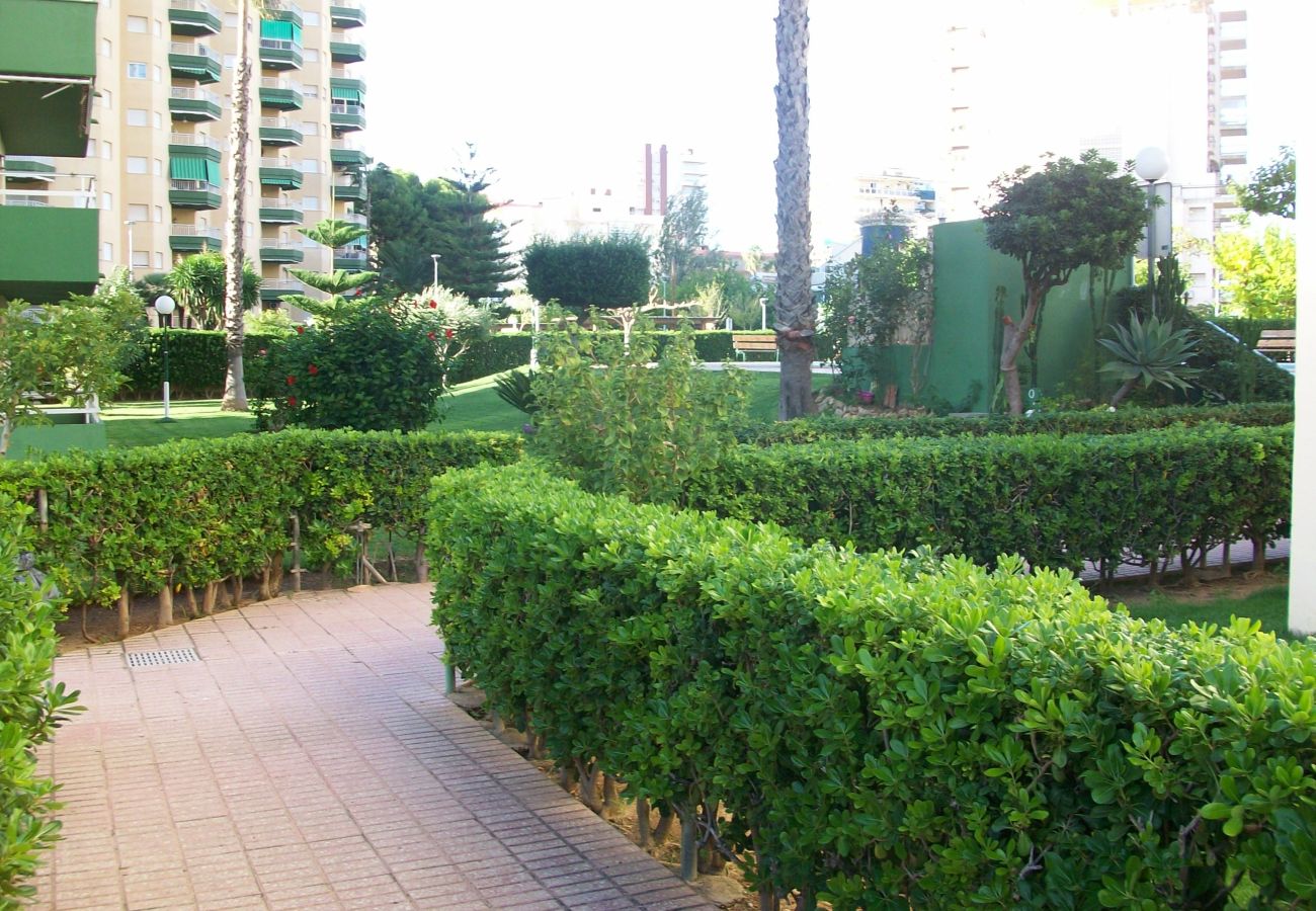 Apartamento en Gandia - APARTAMENTO DE 3 DORMITORIOS EN SEGUNDA LINEA DE LA PLAYA DE GANDIA