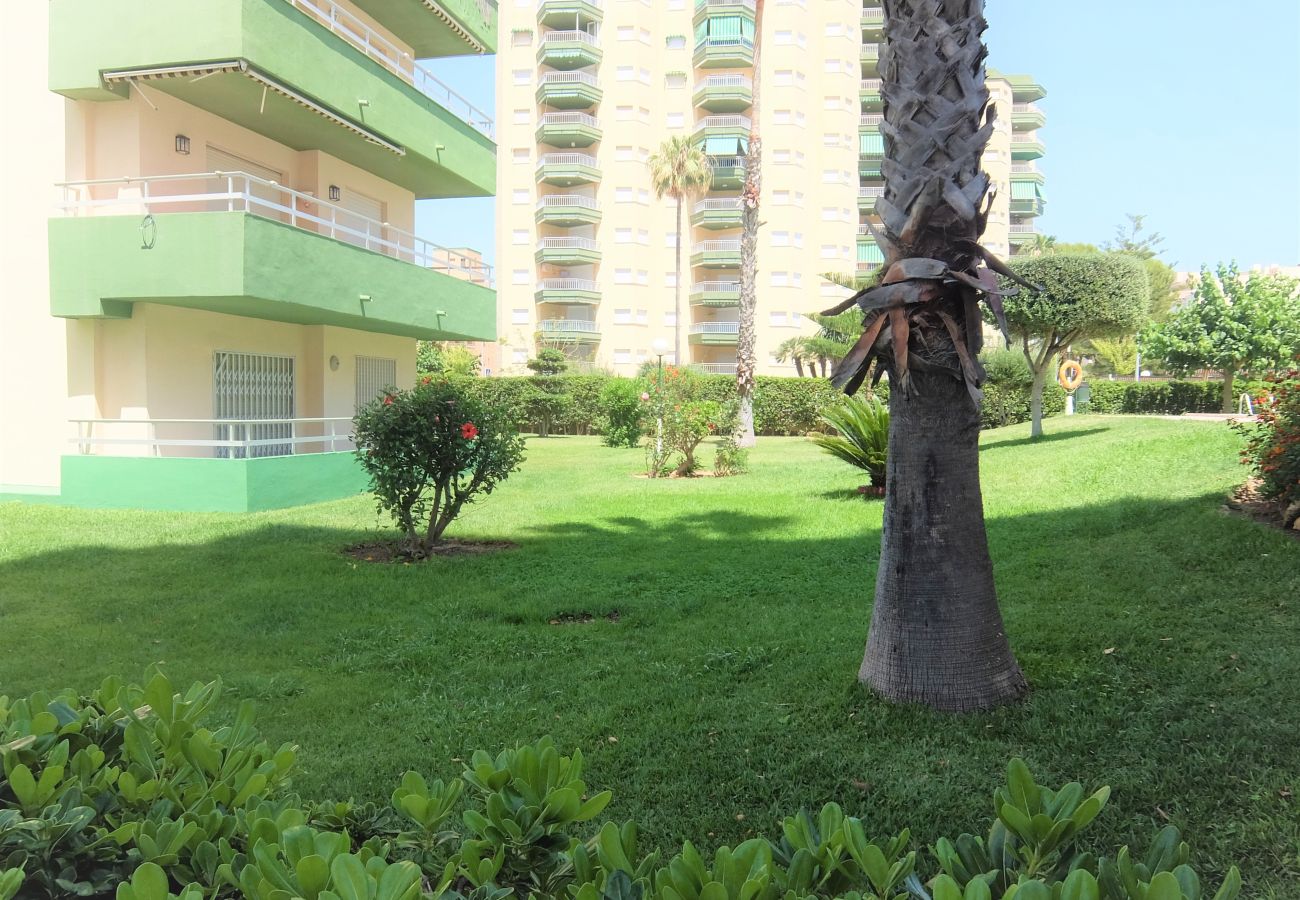 Apartamento en Gandia - APARTAMENTO DE 3 DORMITORIOS EN SEGUNDA LINEA DE LA PLAYA DE GANDIA
