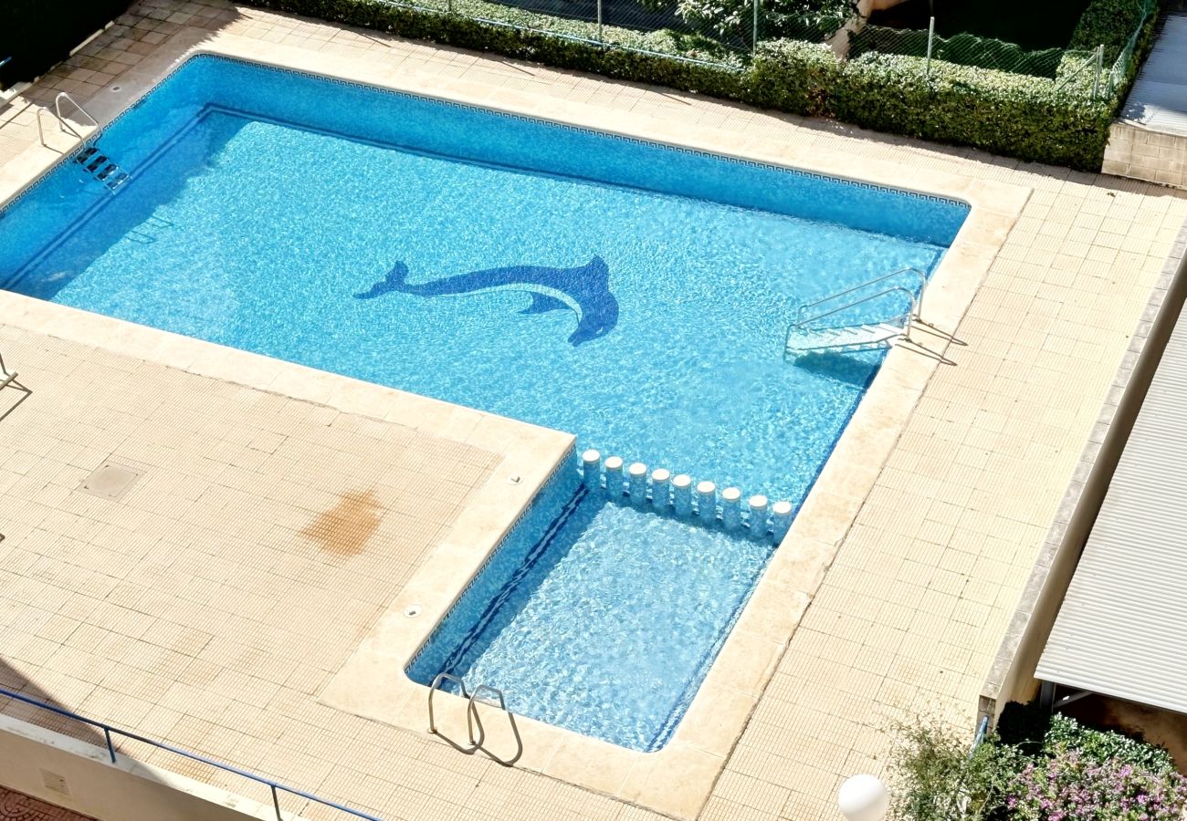 Apartamento en Gandia - PLAYAM 6  - APARTAMENTO EN VENTA EN PLAYA DE GANDIA